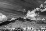 black mountain photo contest best in show winner